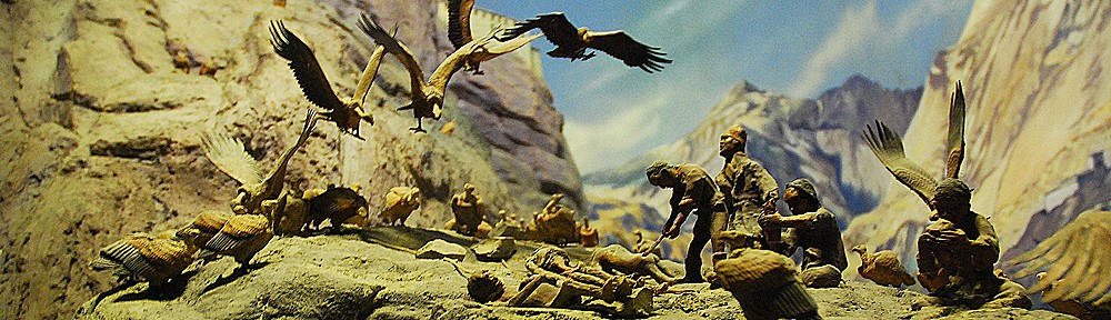 zwischen tibet, auschwitz & dachau