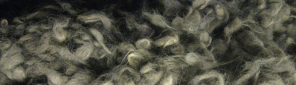 zwischen tibet, auschwitz & dachau