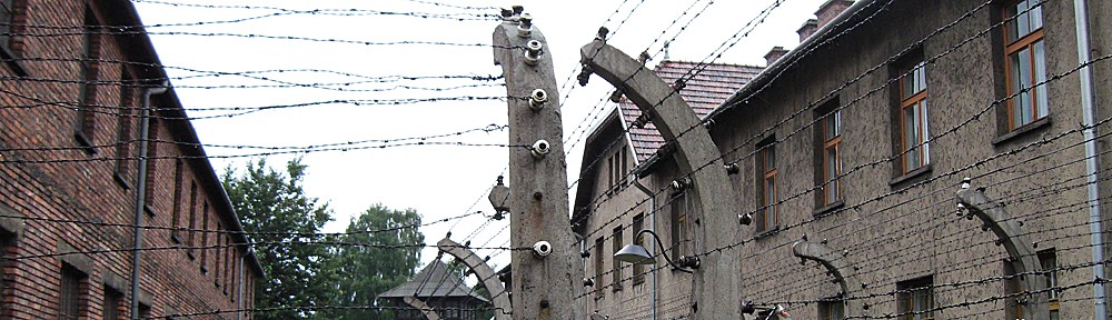 zwischen tibet, auschwitz & dachau