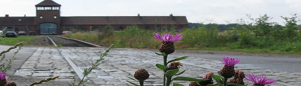 zwischen tibet, auschwitz & dachau