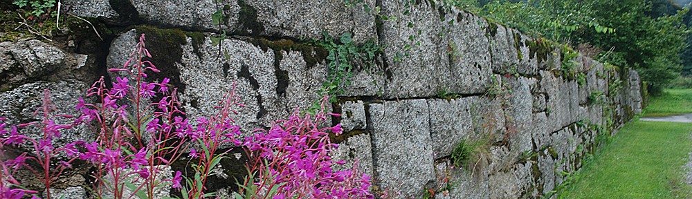 zwischen tibet, auschwitz & dachau