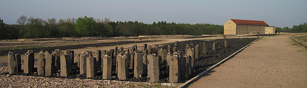 zwischen tibet, auschwitz & dachau