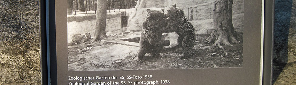 zwischen tibet, auschwitz & dachau